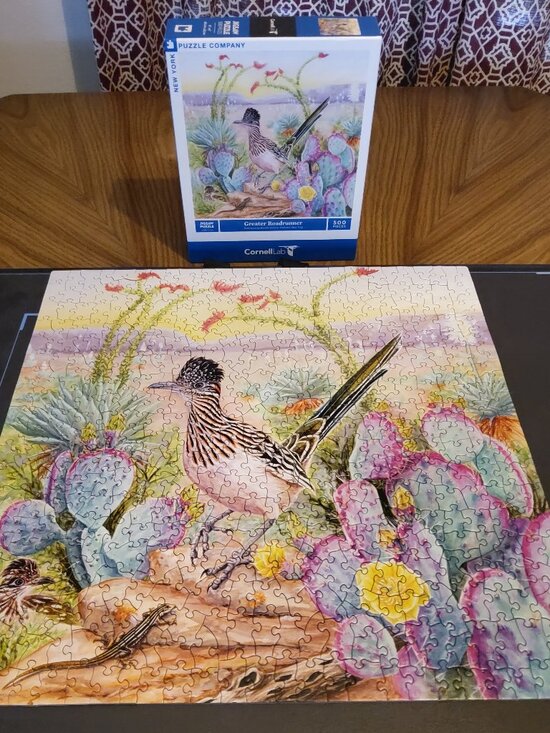Other - Cornell Lab of Ornithology Greater Roadrunner 500 Piece Jigsaw Puzzle Vera Ting